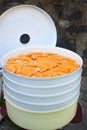 Salting sliced Ã¢â¬â¹Ã¢â¬â¹pumpkin pieces in an electronic dryer Royalty Free Stock Photo